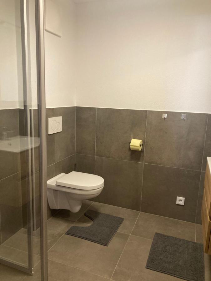 Appartement Stefanie هولرسباخ ام بنزغ المظهر الخارجي الصورة